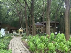 -同里国家湿地公园