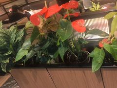 -半秋山西餐厅(襄阳万达店)