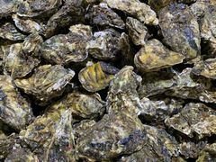 -恒达综合农贸市场(黄山路店)