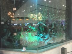 -甄品麦哲伦海鲜和牛自助(万达广场店)