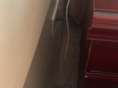 -汕头金乐大酒店