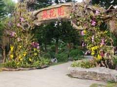 -东莞植物园