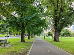 -墨尔本皇家植物园