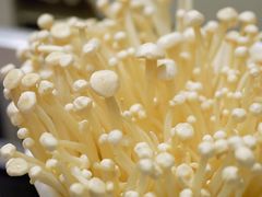 金针菇-渝利重庆火锅