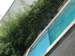 -汪说喵讲宠物乐园宠物酒店(红星美凯龙店)
