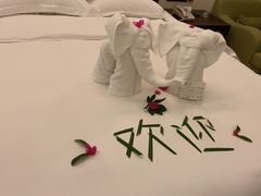 -三亚亚龙湾雅高铂尔曼别墅度假酒店