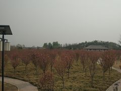 -毛遂公园
