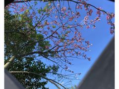 -广西民族博物馆