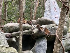 -普洱太阳河森林公园