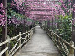 -南武当山景区