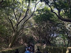 -普陀山风景区-佛顶山