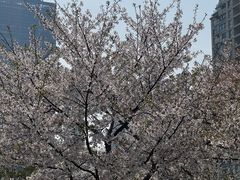 -西北湖绿化广场