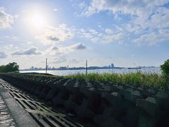 -上海滨江森林公园