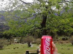 -硗碛藏寨·神木垒景区