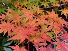 -青岛崂山太清宫