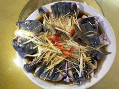 稀鳞硅鱼-煲来饱去冷水鱼