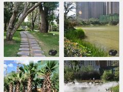 -花果园湿地公园