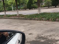 -安飞驰驾校·学车连锁(金高店)