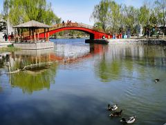 -稻香湖景欢乐岛温泉城堡