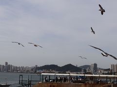 -星海广场