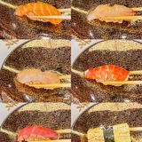 不敢信是深圳的物价...人均100+...