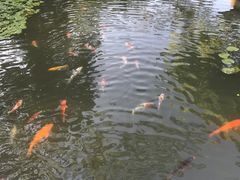 -杭州西湖柳莺里酒店