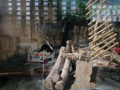 -泉州海丝野生动物世界