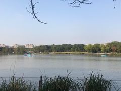 -昆山城市生态森林公园