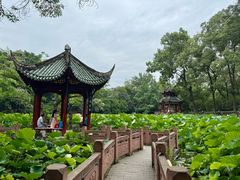 -房湖公园