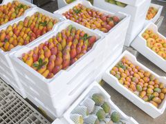 -东方鼎信农副产品交易中心