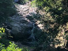 -东天目山风景区