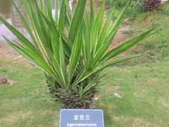 -厦门悦华酒店
