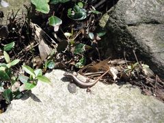 DSC00699-众神白水涧景区