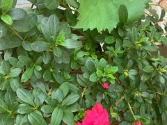 -何适山庄 ·可团建(水长城P2停车场店)