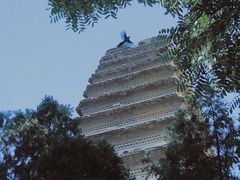 -大雁塔北广场音乐喷泉