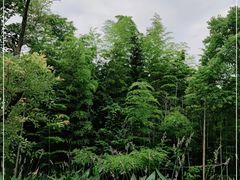 -南京市无想山景区