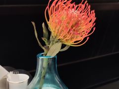 -许家菜.艺创菜(仁和新城店)