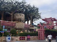 -三亚红色娘子军演艺公园景区
