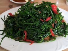-苏莱特色牛骨滩羊手抓馆(长城东街总店)