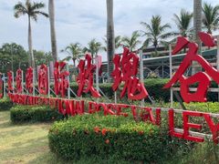 -亚龙湾国际玫瑰谷