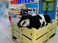 -红星前进面包牛奶公司(君太店)