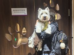 -天津京基皇冠假日酒店