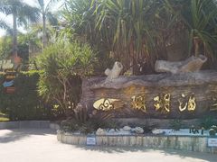 -蜈支洲岛珊瑚酒店临海阁中餐厅