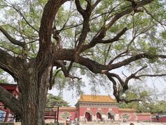 -北陵公园