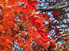 -共青国家森林公园-售票处