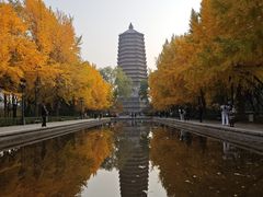 -玲珑塔公园