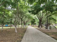 -长白岛森林公园