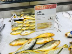 -盒马鲜生(大成店)