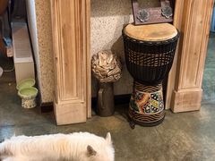 -绿房子方寸咖啡(星海名城店)