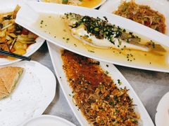 -老绍兴养和饭店(向阳不夜城店)